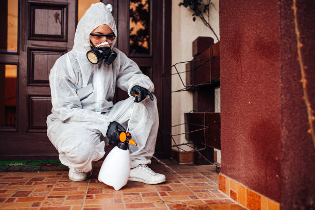 Attic and Crawl Space Rodent Treatment in Centerville